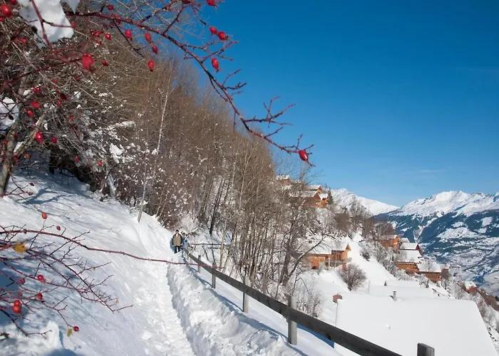 In A Location Appartement *